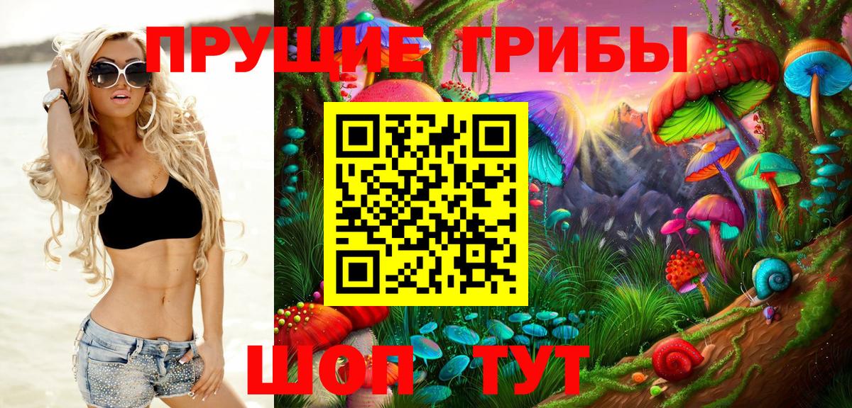 как найти закладки  Галлюциногенные грибы ЛСД  Вход с VPN  Галлюциногенные грибы GOLDEN TEACHER  Кинель 